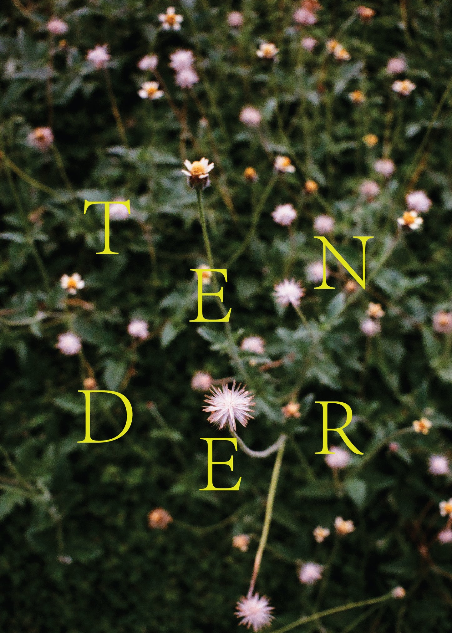 Astrological Tarot Readings