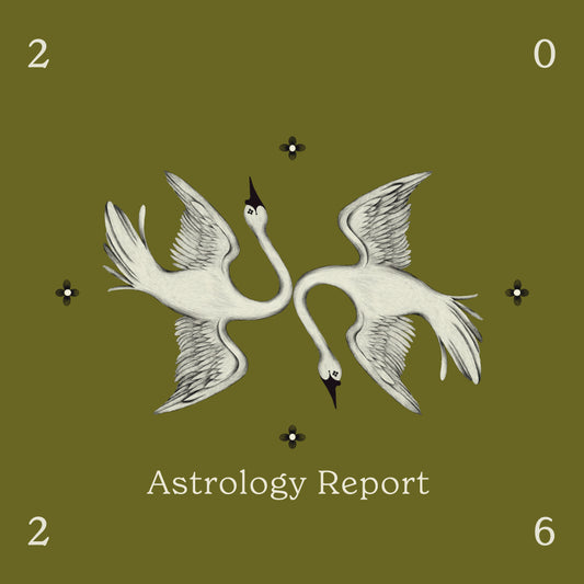 The 2026 Astrology Report