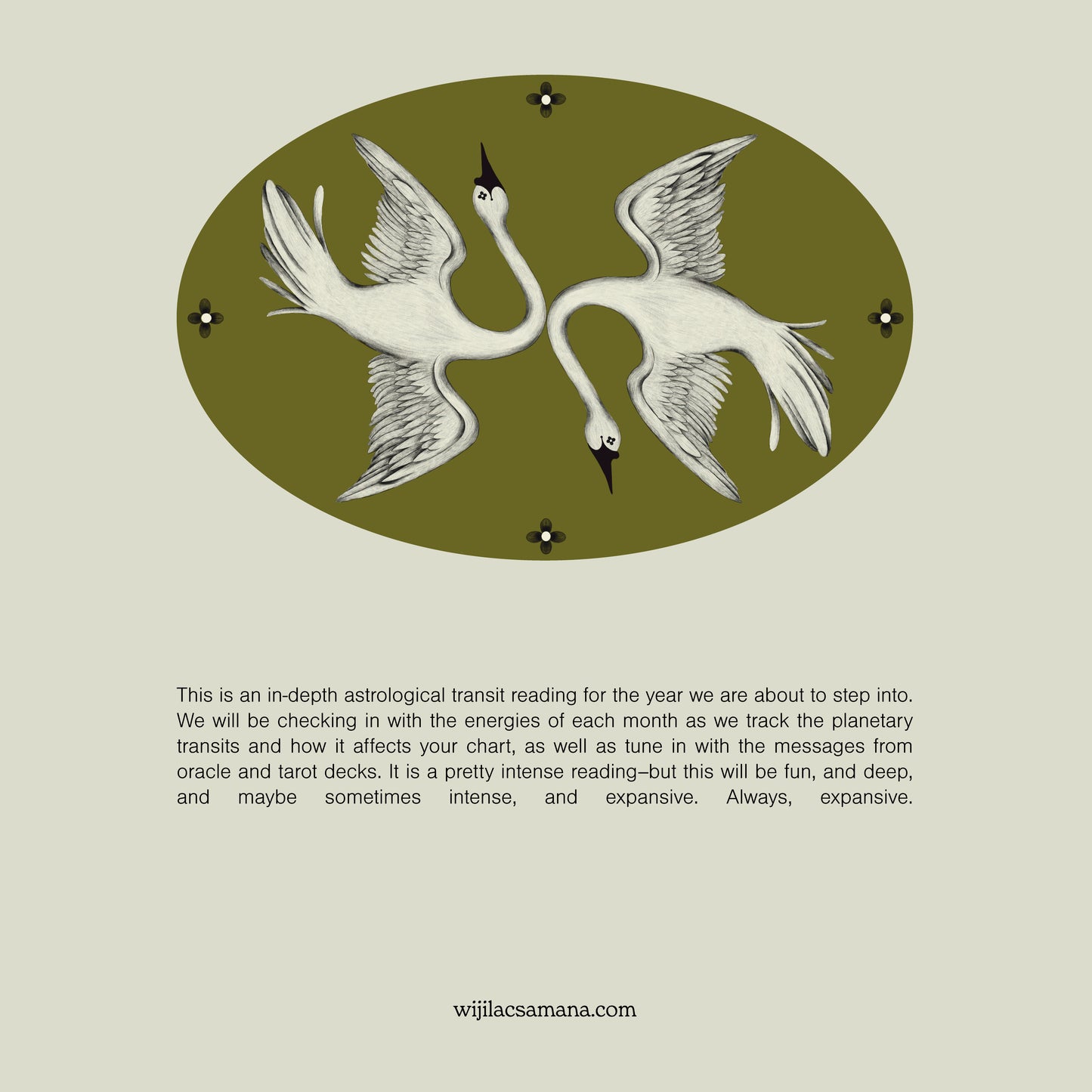 The 2026 Astrology Report