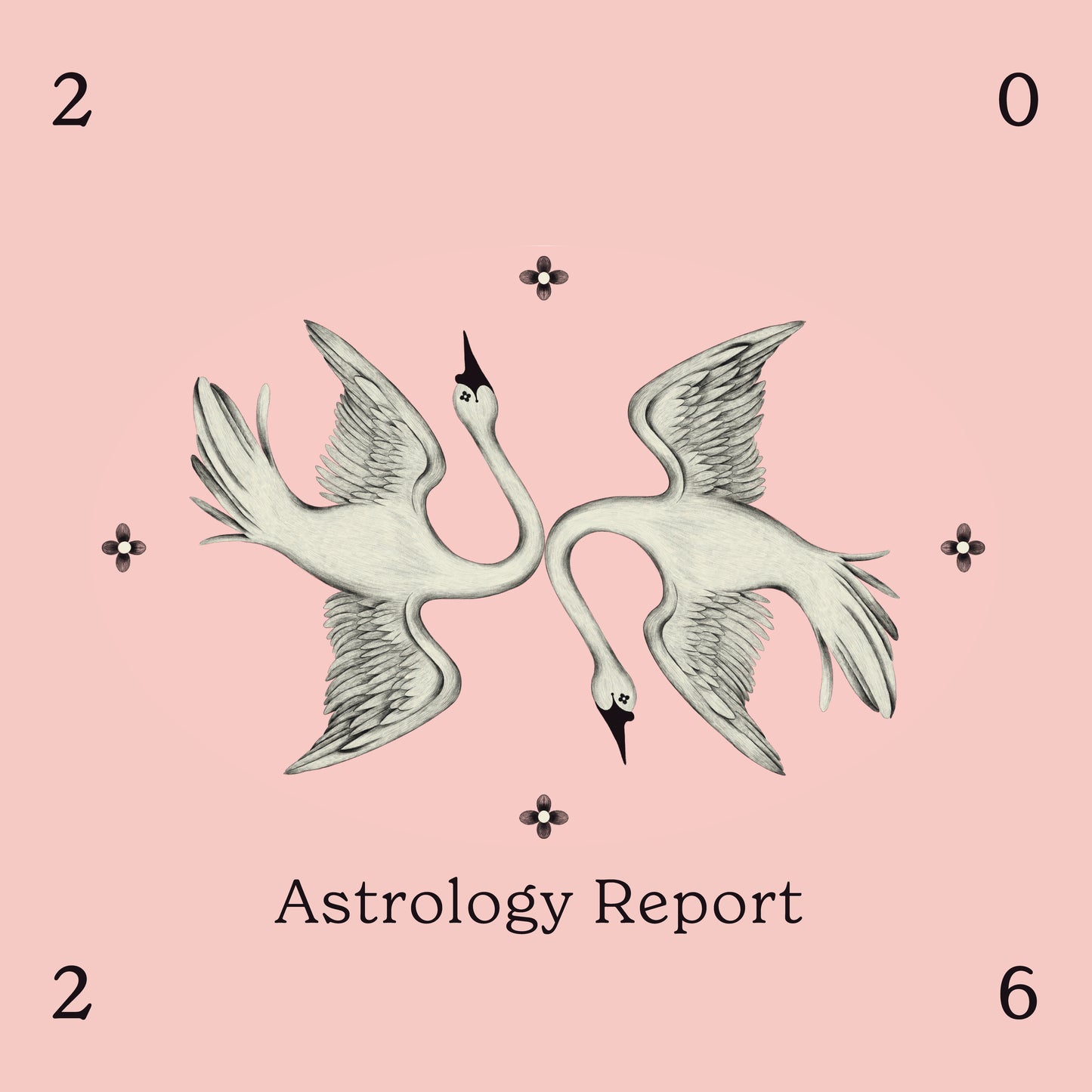 The 2026 Astrology Report